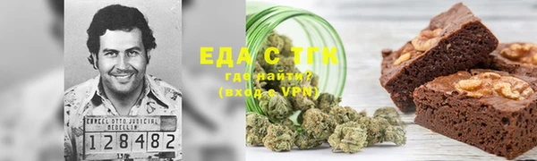 ECSTASY Алзамай