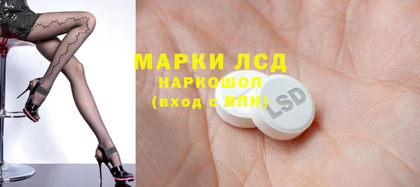 ECSTASY Алзамай