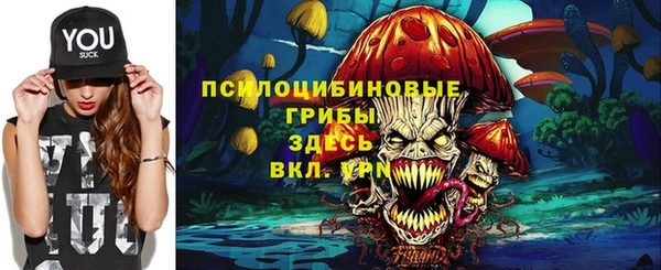 ECSTASY Алзамай