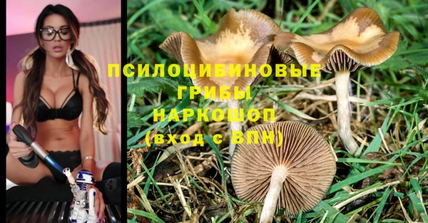 ECSTASY Алзамай