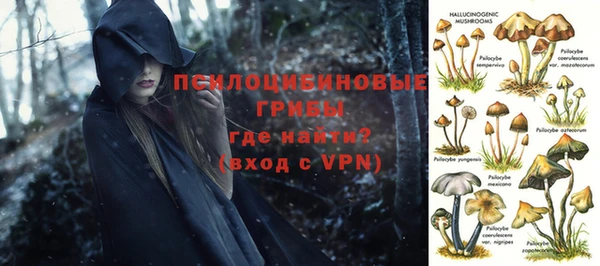 2c-b Алексин
